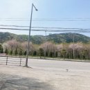 한서식당 이미지