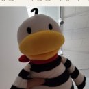 오영뷰티 이미지