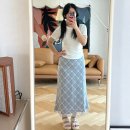 아이디어(idea) | 제너럴아이디어(General Idea) 체크 시어 롱스커트 솔직 후기, 엉뚱녀도 날씬해 보이는 마법의 스커트