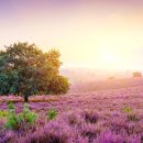 카사비앙카 이미지