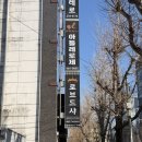 쵸이스 | 광주 로브드샤 본식드레스 초이스 후기 실크드레스 추가금 정보 공유 66사이즈 신부 현실 드레스