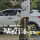 Pet 마을 | 사파 Day3 / 모아나사파, 에그 커피, 깟깟 마을, 사파 세탁, 사파 KK 호텔 수영장 + 라운지