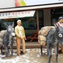 봉평장터 이미지