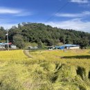 어슬티굿밤 이미지