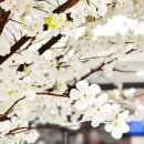 세븐일레븐 울산신정강변점 | 울산 가성비 맛집 베스트 10 순위 추천