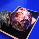 맛깔시장 이미지