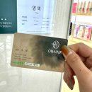 수애헤어샵 | [대구/중구] 여자 단발펌 성공 후기! 대구 동성로 미용실 추천 | 온헤어 4호 아틀리에