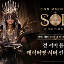 솔은