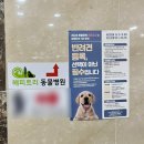 해피트리 동물병원 이미지