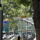 역삼제3 | 역삼역 3번 출구 앞 강남버거 맛집, 필앤필버거 강남본점 솔직 후기 🍔