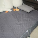 대성 | 카본 탄소매트 추천 전자파 없이 대성쎌틱 후기