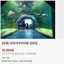 (주)경포아쿠아리움 이미지