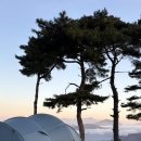 맥스하우스 | 그라운드커버 타프투타프 X 몰티하우스 맥스 내돈내산 후기