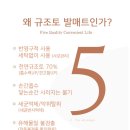 베러모어 이미지