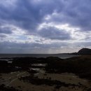 카엔조이 이미지