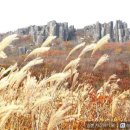 11월 15일 광주 광역시 무등산 산행공지 ! 이미지