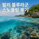 블루라군 | 발리 블루라군 스노클링 후기 (탄중제푼·비용 총정리)