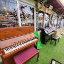 샤론농장 이미지