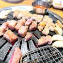 고밤도니