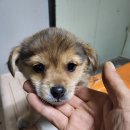 청북새싹길 이미지