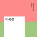배롱집