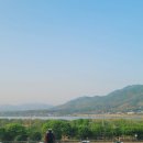 더엘리