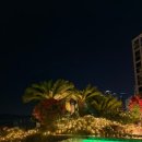 부산시티호텔 | 부산호텔 파라다이스 신관 디럭스 시티 트윈 후기(수영장, 플레이랩 이용)