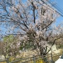 고기동황금쉼터