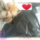 프라독 | [강아지옷] 프라독 패딩 후기