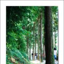 다원추어탕 이미지