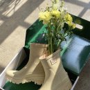 우산정보 이미지