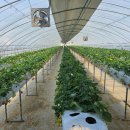 조성농민상담소 이미지