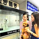 더호텔서비스주