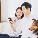 유앤아이동물병원 이미지