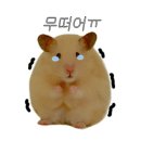 조한준의준참치&스시 네이버블로그