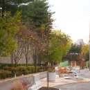 대진초교 앞 이미지