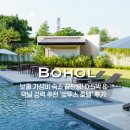 더로투스 | 세부,보홀여행 / 보홀 가성비 숙소 끝판왕! 0.5박 & 막날 강력 추천 '로투스 호텔' 후기