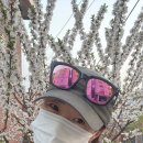 CAERUSO 이미지