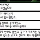 그린라이트