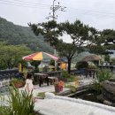 초리 포레스트 이미지