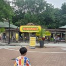 원화유치원 | [미국 조지아 여행] 애틀랜타 동물원 Zoo Atlanta 후기｜입장료·주차·아이와 가볼 만한 곳