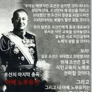 확증편향...비합리적인 인간... 이미지