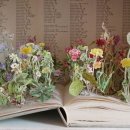 페이퍼 플라워아트 이미지