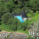 촌닭과오리