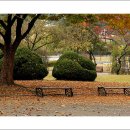 장안공원 이미지