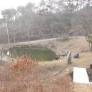 다비숲공원 Daum카페