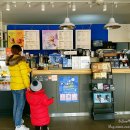 맘스터치 고령점 이미지