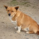 덕실마을 이미지