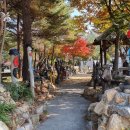 단양팔경(부산) 이미지