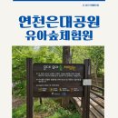 연천 아이와 가볼만한 곳｜연천 전곡 은대공원 유아숲체험원